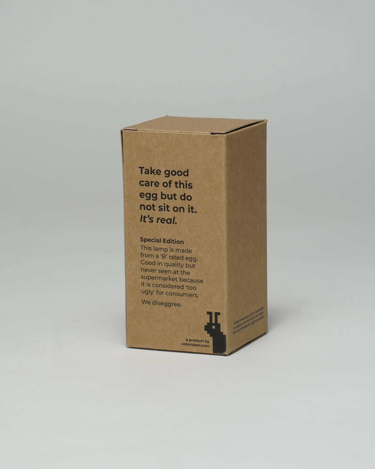 Special edition LED lamp in verpakking, duurzaam karton, instructies voor gebruik en zorg