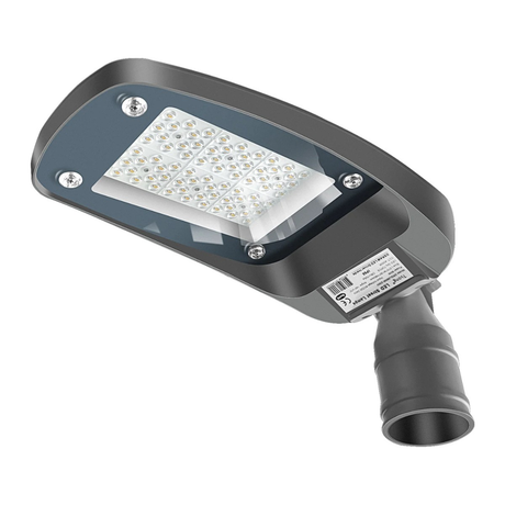 2× 60W straatlamp + 2 mastadapters