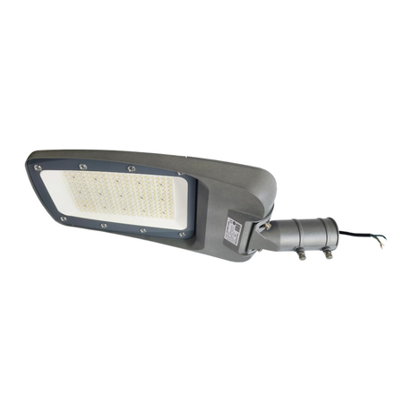 1× 150W straatlamp + mastadapter