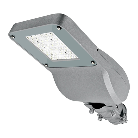 1× 30W 4000K straatlamp + muuradapter