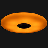 VoiceControl LED Ceiling Light 50 cm with Google Nest &amp; Amazon Echo Dot Holder - Controllable with App