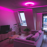VoiceControl LED Ceiling Light 50 cm with Google Nest &amp; Amazon Echo Dot Holder - Controllable with App