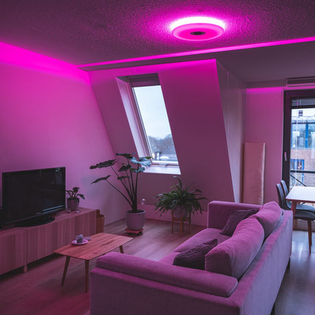 VoiceControl LED Plafondlamp 50 cm met Google Nest & Amazon Echo Dot houder - Bedienbaar met App